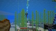 A player narrowly misses a trident (Image via u/torx0244 on Reddit)